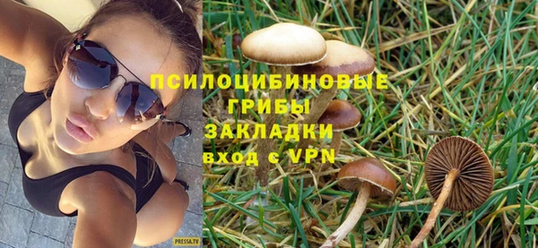 ПСИЛОЦИБИНОВЫЕ ГРИБЫ Арсеньев