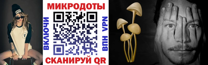 Псилоцибиновые грибы Psilocybine cubensis  где купить наркотик  Инсар 